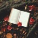 Calibre 6.0.0: E-Book-Reader wechselt auf Qt 6 und erhält Volltextsuche